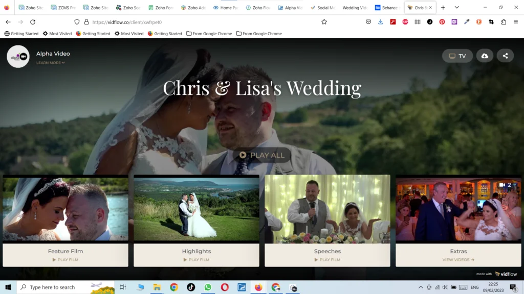 Screenshot of Vidflow gallery